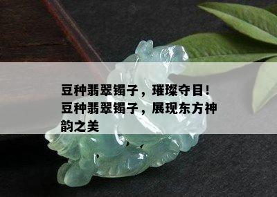 豆种翡翠镯子，璀璨夺目！豆种翡翠镯子，展现东方神韵之美