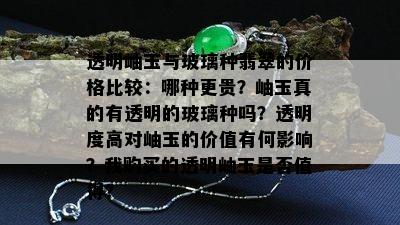 透明岫玉与玻璃种翡翠的价格比较：哪种更贵？岫玉真的有透明的玻璃种吗？透明度高对岫玉的价值有何影响？我购买的透明岫玉是否值得？