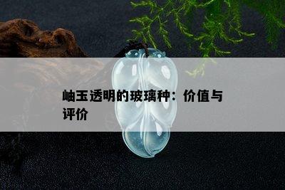 岫玉透明的玻璃种：价值与评价