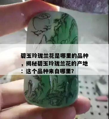 碧玉玲珑兰花是哪里的品种，揭秘碧玉玲珑兰花的产地：这个品种来自哪里？