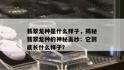 翡翠龙种是什么样子，揭秘翡翠龙种的神秘面纱：它到底长什么样子？