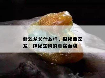 翡翠龙长什么样，探秘翡翠龙：神秘生物的真实面貌