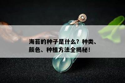 海苔的种子是什么？种类、颜色、种植方法全揭秘！