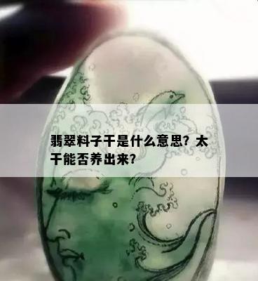 翡翠料子干是什么意思？太干能否养出来？