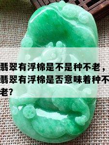 翡翠有浮棉是不是种不老，翡翠有浮棉是否意味着种不老？