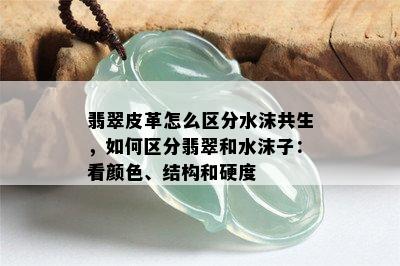 翡翠皮革怎么区分水沫共生，如何区分翡翠和水沫子：看颜色、结构和硬度