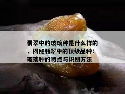 翡翠中的玻璃种是什么样的，揭秘翡翠中的顶级品种：玻璃种的特点与识别方法