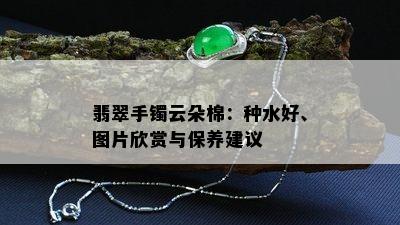 翡翠手镯云朵棉：种水好、图片欣赏与保养建议