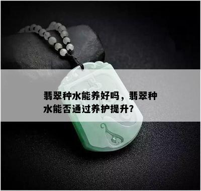 翡翠种水能养好吗，翡翠种水能否通过养护提升？