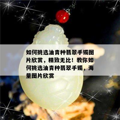 如何挑选油青种翡翠手镯图片欣赏，精致无比！教你如何挑选油青种翡翠手镯，海量图片欣赏