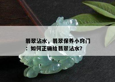 翡翠沾水，翡翠保养小窍门：如何正确给翡翠沾水？