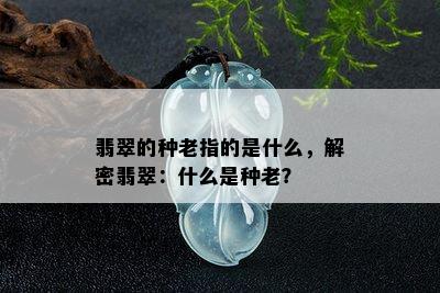 翡翠的种老指的是什么，解密翡翠：什么是种老？