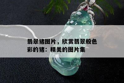 翡翠猪图片，欣赏翡翠般色彩的猪：精美的图片集