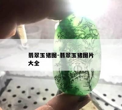 翡翠玉猪图-翡翠玉猪图片大全