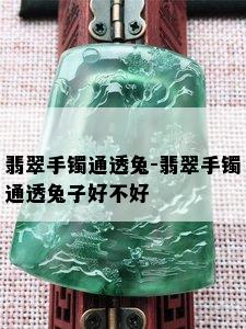 翡翠手镯通透兔-翡翠手镯通透兔子好不好