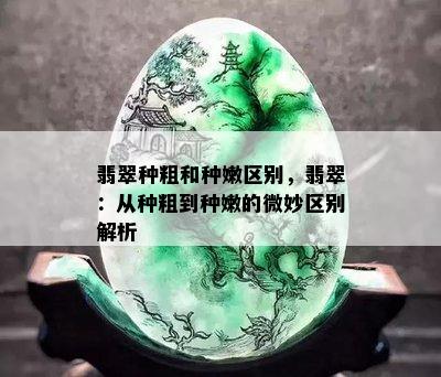 翡翠种粗和种嫩区别，翡翠：从种粗到种嫩的微妙区别解析