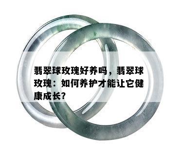 翡翠球玫瑰好养吗，翡翠球玫瑰：如何养护才能让它健康成长？