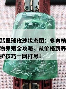 翡翠球玫瑰状态图：多肉植物养殖全攻略，从价格到养护技巧一网打尽！