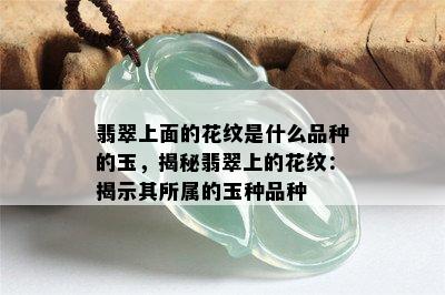 翡翠上面的花纹是什么品种的玉，揭秘翡翠上的花纹：揭示其所属的玉种品种