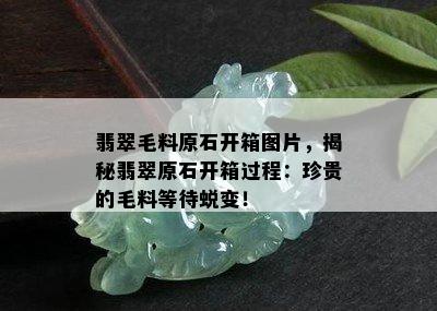 翡翠毛料原石开箱图片，揭秘翡翠原石开箱过程：珍贵的毛料等待蜕变！