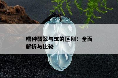 糯种翡翠与玉的区别：全面解析与比较