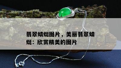 翡翠蜻蜓图片，美丽翡翠蜻蜓：欣赏精美的图片