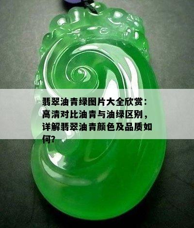 翡翠油青绿图片大全欣赏：高清对比油青与油绿区别，详解翡翠油青颜色及品质如何？