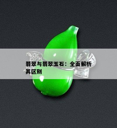 翡翠与翡翠玉石：全面解析其区别