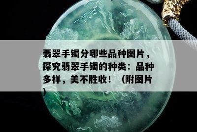 翡翠手镯分哪些品种图片，探究翡翠手镯的种类：品种多样，美不胜收！（附图片）