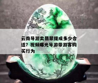 云南导游卖翡翠提成多少合适？视频曝光导游带游客购买行为