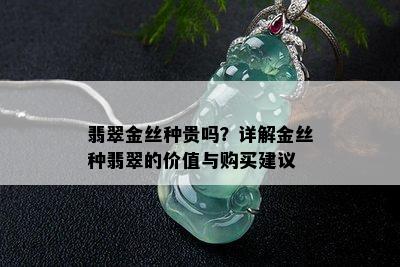 翡翠金丝种贵吗？详解金丝种翡翠的价值与购买建议