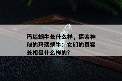 玛瑙蜗牛长什么样，探索神秘的玛瑙蜗牛：它们的真实长相是什么样的？