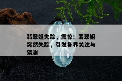 翡翠姐失踪，震惊！翡翠姐突然失踪，引发各界关注与猜测