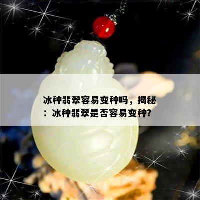 冰种翡翠容易变种吗，揭秘：冰种翡翠是否容易变种？