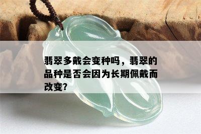 翡翠多戴会变种吗，翡翠的品种是否会因为长期佩戴而改变？