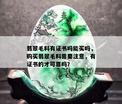 翡翠毛料有证书吗能买吗，购买翡翠毛料需要注意，有证书的才可靠吗？