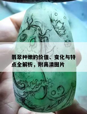 翡翠种嫩的价值、变化与特点全解析，附高清图片