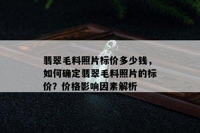 翡翠毛料照片标价多少钱，如何确定翡翠毛料照片的标价？价格影响因素解析