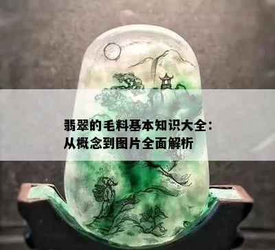 翡翠的毛料基本知识大全：从概念到图片全面解析