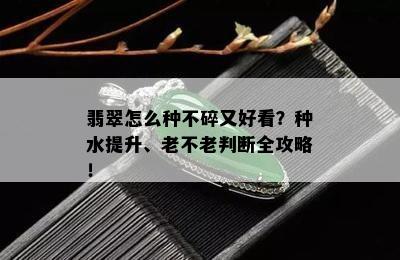 翡翠怎么种不碎又好看？种水提升、老不老判断全攻略！