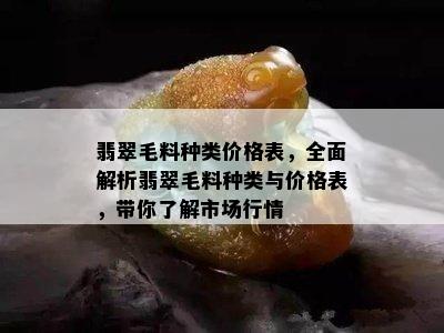 翡翠毛料种类价格表，全面解析翡翠毛料种类与价格表，带你了解市场行情