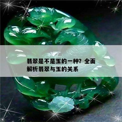 翡翠是不是玉的一种？全面解析翡翠与玉的关系