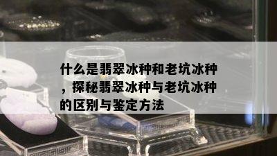 什么是翡翠冰种和老坑冰种，探秘翡翠冰种与老坑冰种的区别与鉴定方法