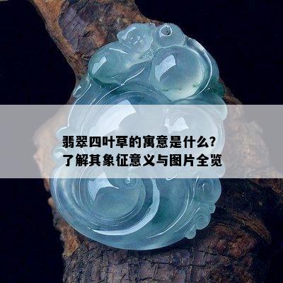 翡翠四叶草的寓意是什么？了解其象征意义与图片全览