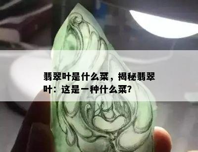 翡翠叶是什么菜，揭秘翡翠叶：这是一种什么菜？