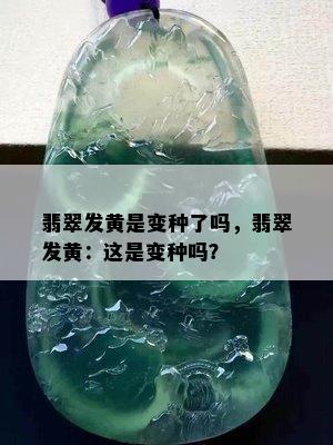 翡翠发黄是变种了吗，翡翠发黄：这是变种吗？