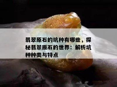 翡翠原石的坑种有哪些，探秘翡翠原石的世界：解析坑种种类与特点