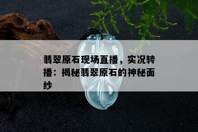 翡翠原石现场直播，实况转播：揭秘翡翠原石的神秘面纱