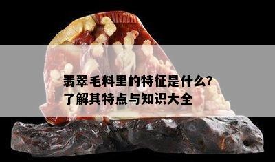 翡翠毛料里的特征是什么？了解其特点与知识大全