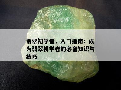 翡翠初学者，入门指南：成为翡翠初学者的必备知识与技巧